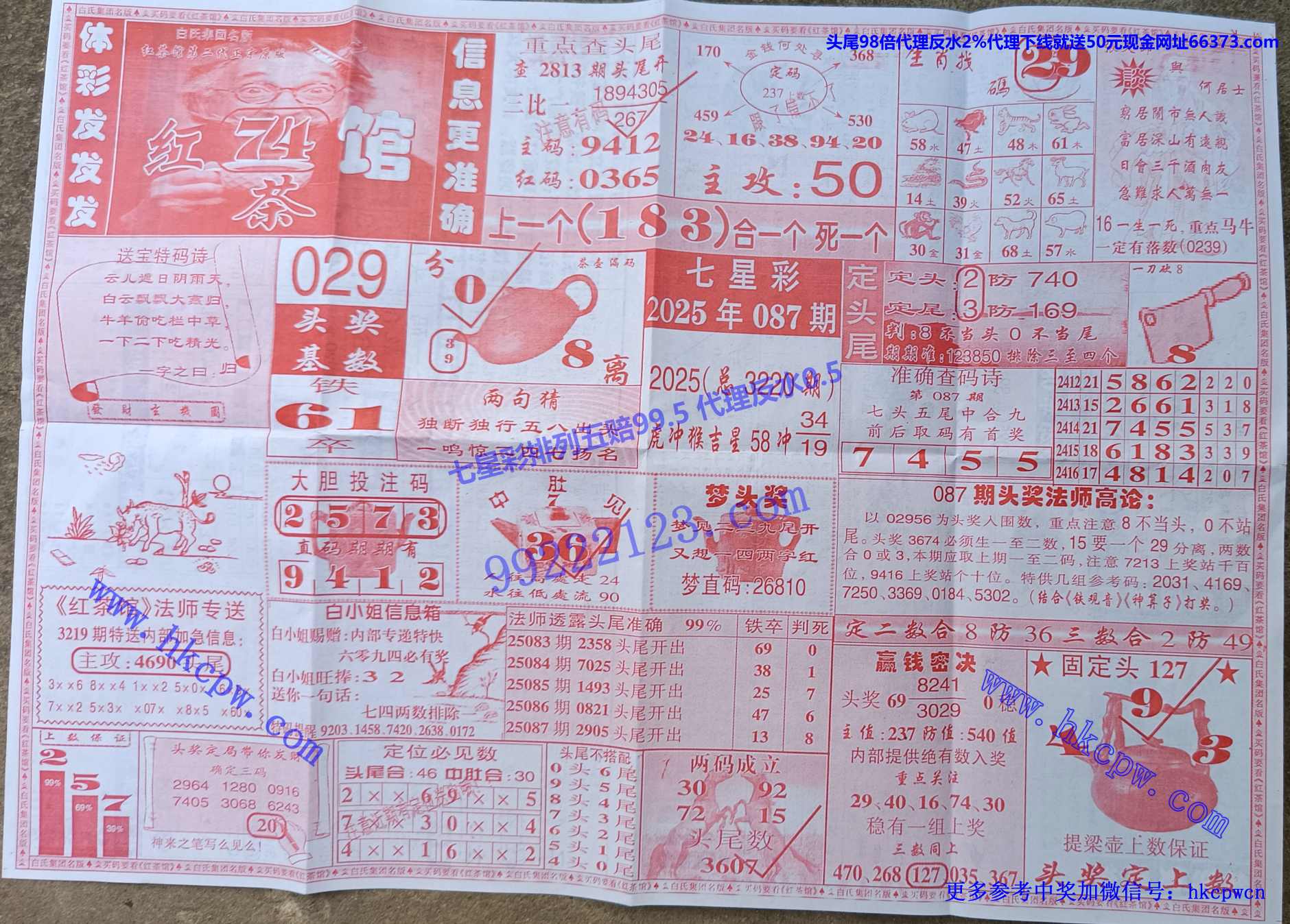 ���� (1).jpg