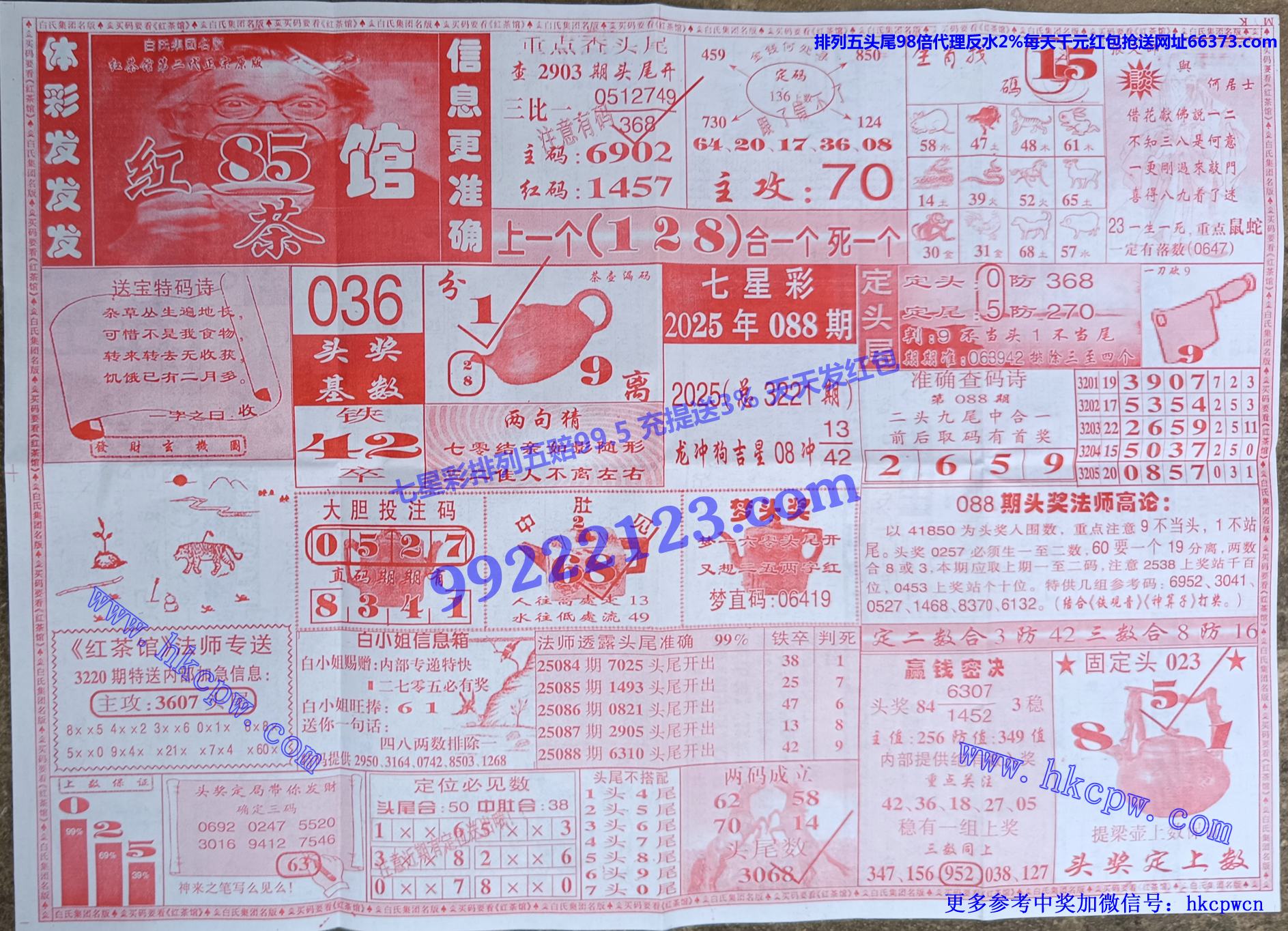 ���� (1).jpg