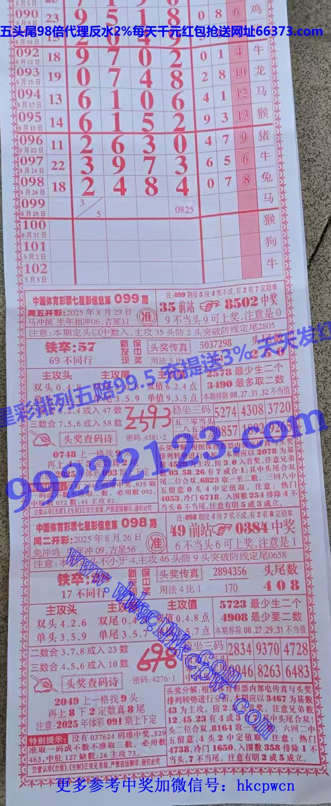 ���� (1).jpg