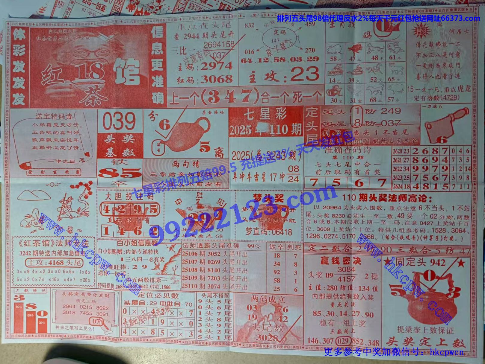 ���� (1).jpg