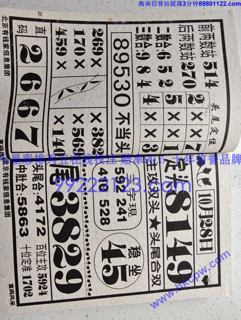 ֱ���� (10).jpg